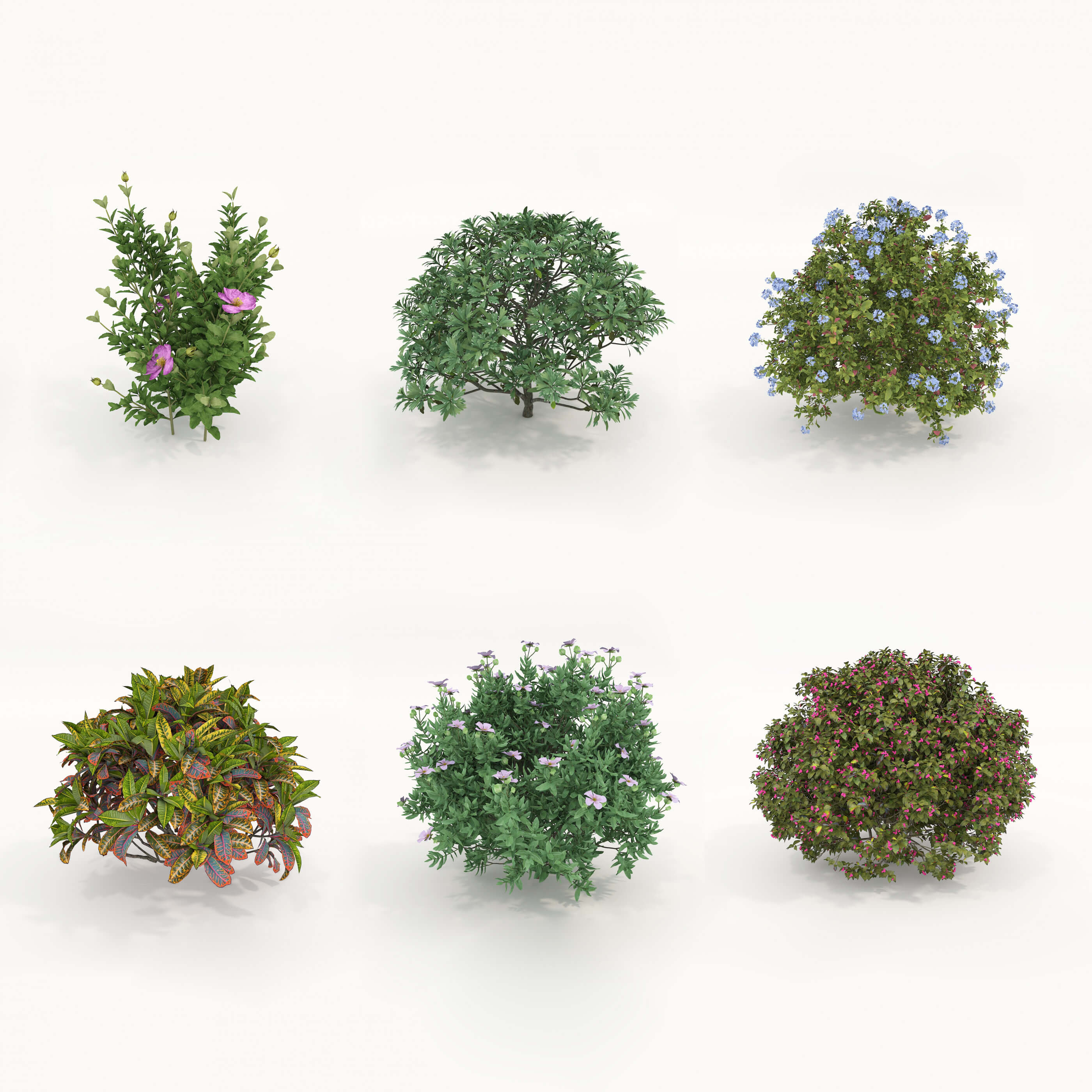 Realistic Shrub Bush Set 6 3D Model by nhattuankts