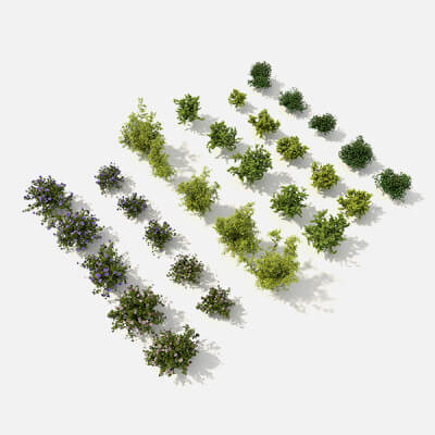 Shrub and Bush Collection 5