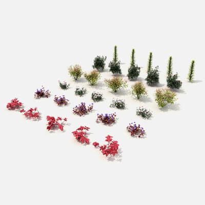 Shrub and Bush Collection 7