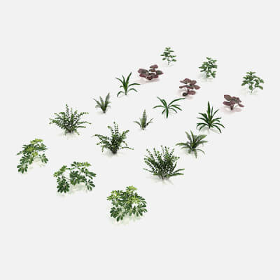 Shrub and Bush Collection 8