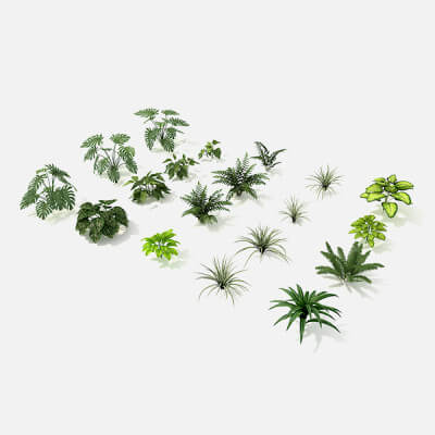 Shrub and Bush Collection 9