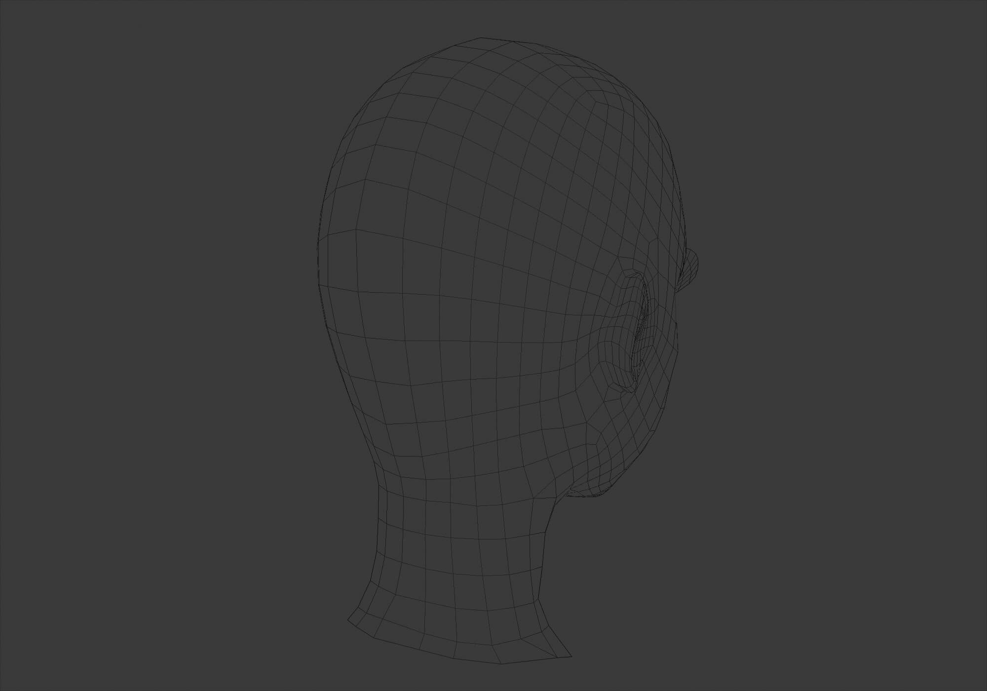 Basic Female Head v4354 - 3D Model by nickianimations