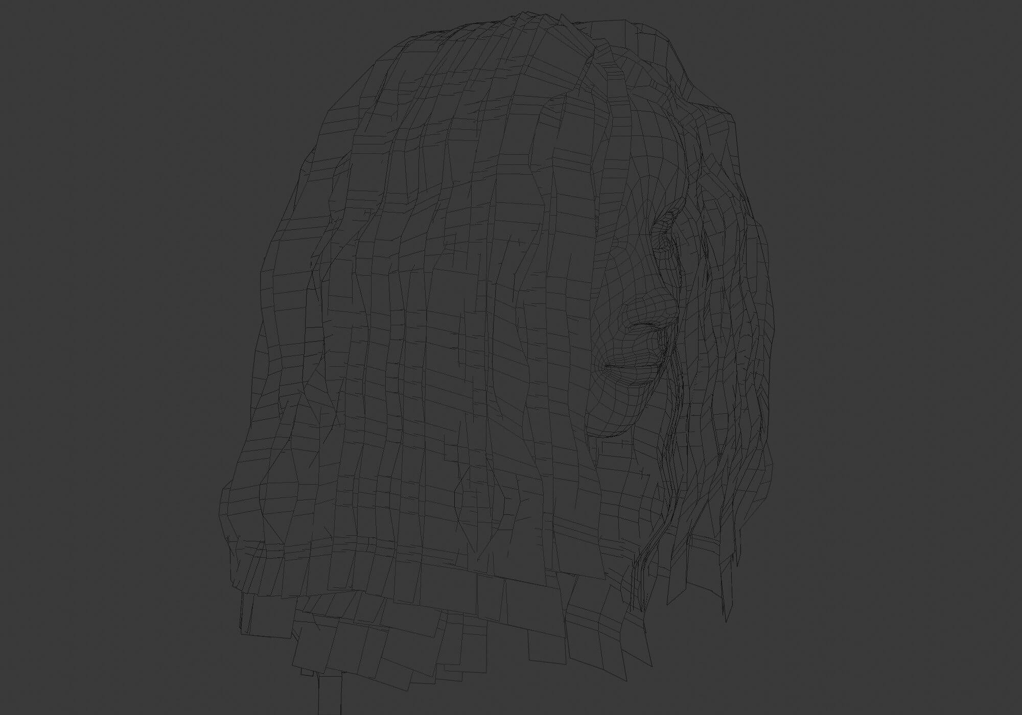 curly-brown-hair-3d-model-by-nickianimations