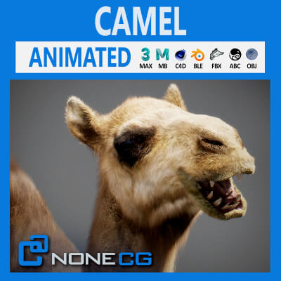 Animated Camel V2