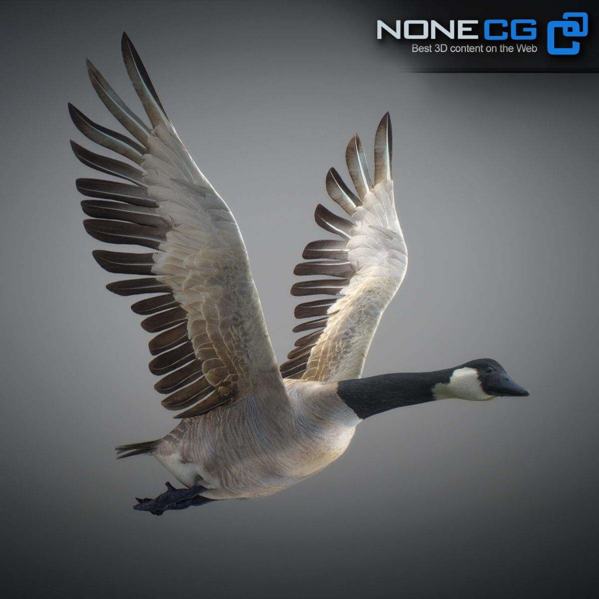 Canada goose plumas 3d Outlet