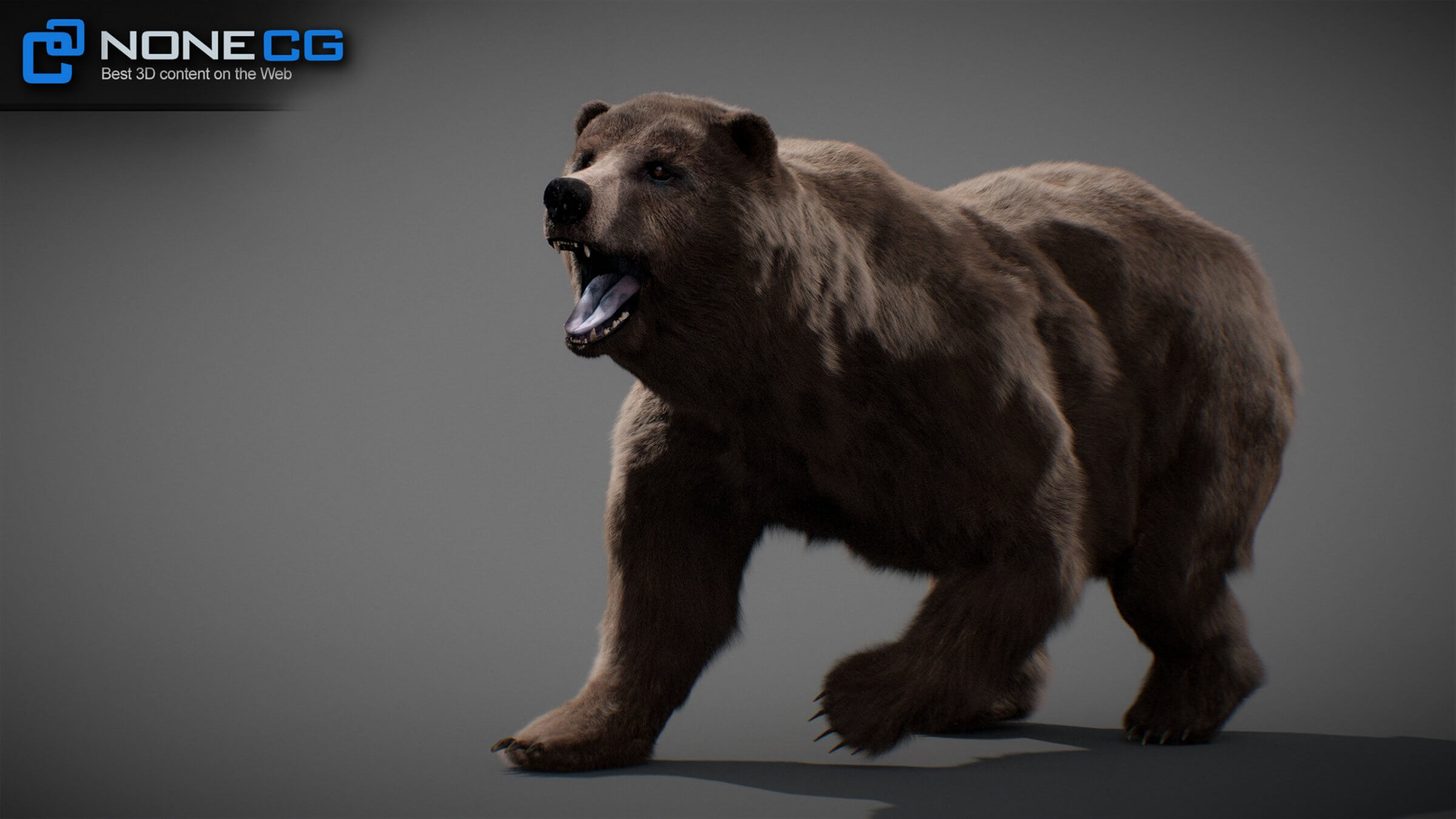 Animated Bear - 3D Model by NoneCG