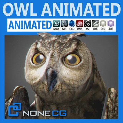 Animated Owl