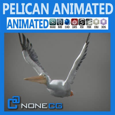 Animated Pelican