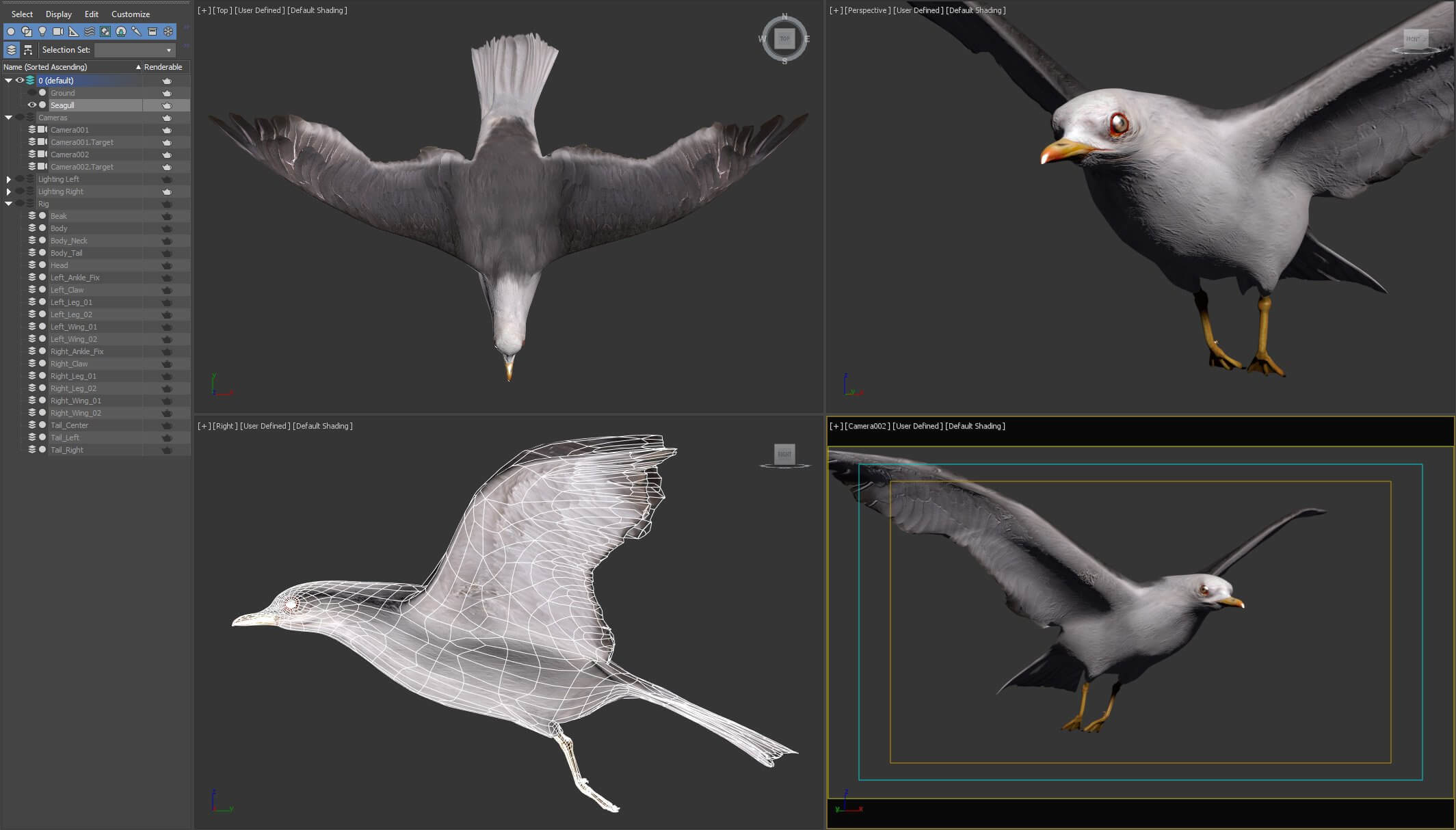 Animated Seagull - 3D Model by NoneCG