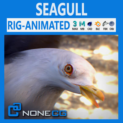 Animated Seagull