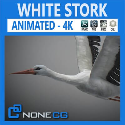 Animated Stork
