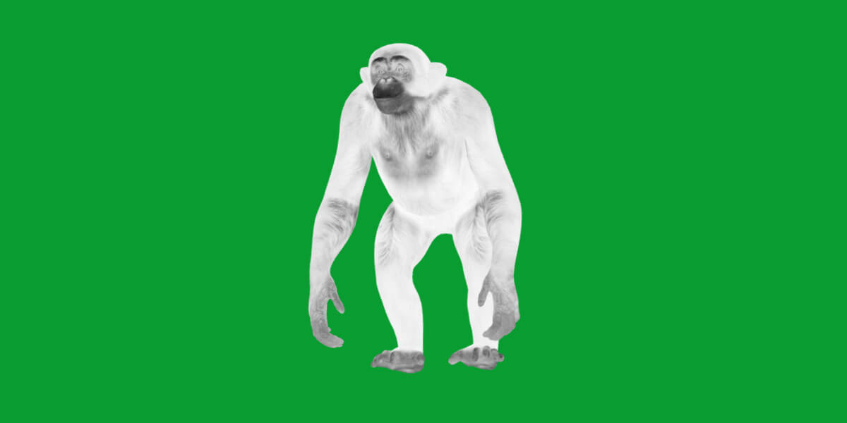 Chimpanzee Ape Primate - 3D Model by Nyilonelycompany