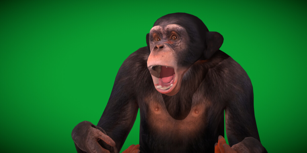 Chimpanzee Ape Primate - 3D Model by Nyilonelycompany