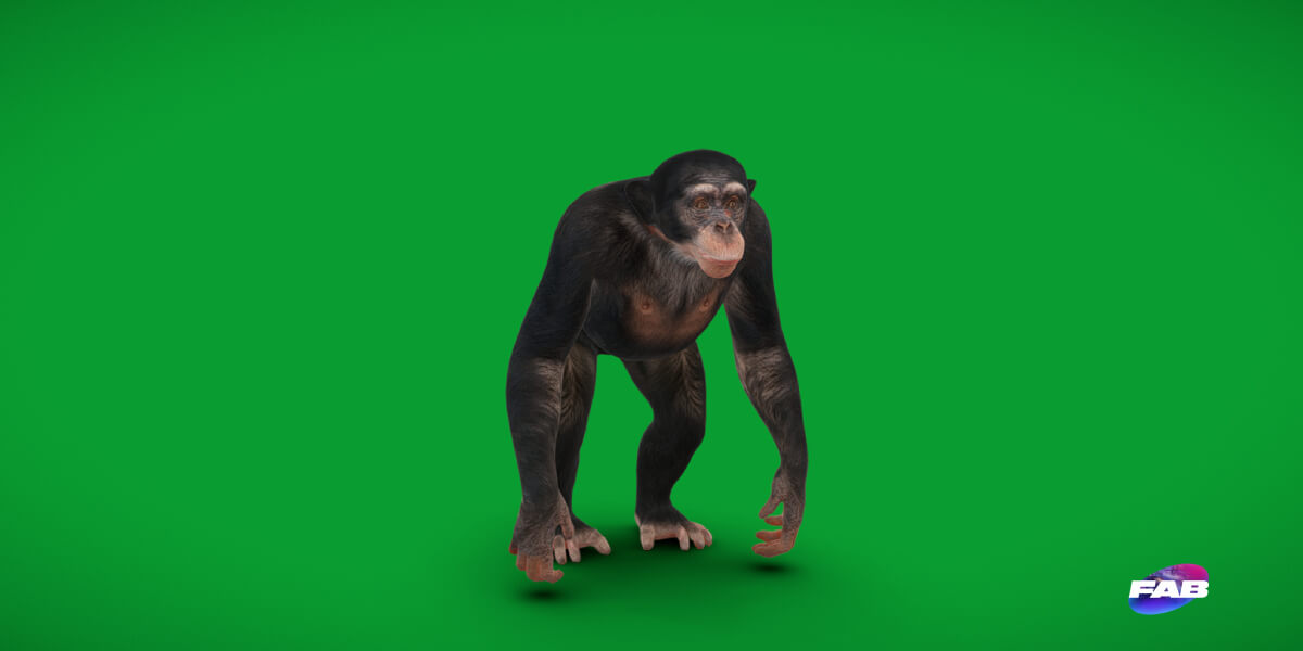 Chimpanzee Ape Primate - 3D Model by Nyilonelycompany