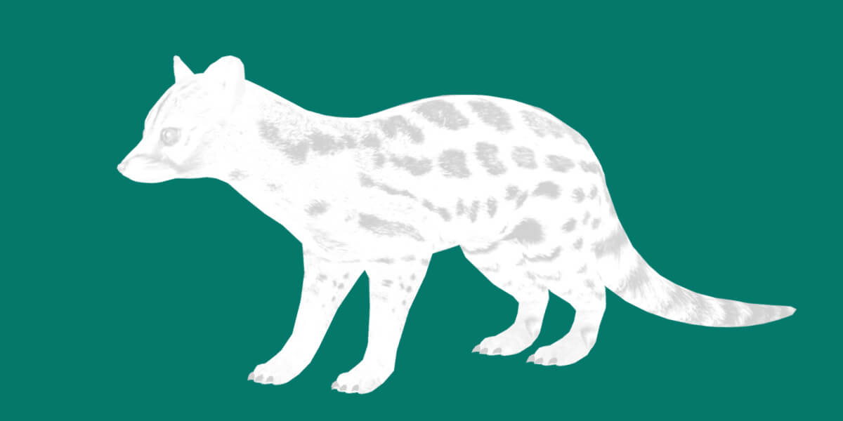 Genet Animals - 3D Model by Nyilonelycompany