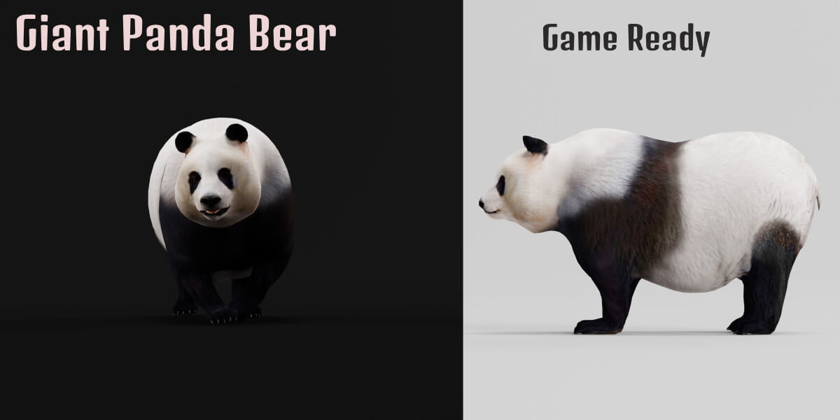 Giant Panda Bear - 3D Model by Nyilonelycompany