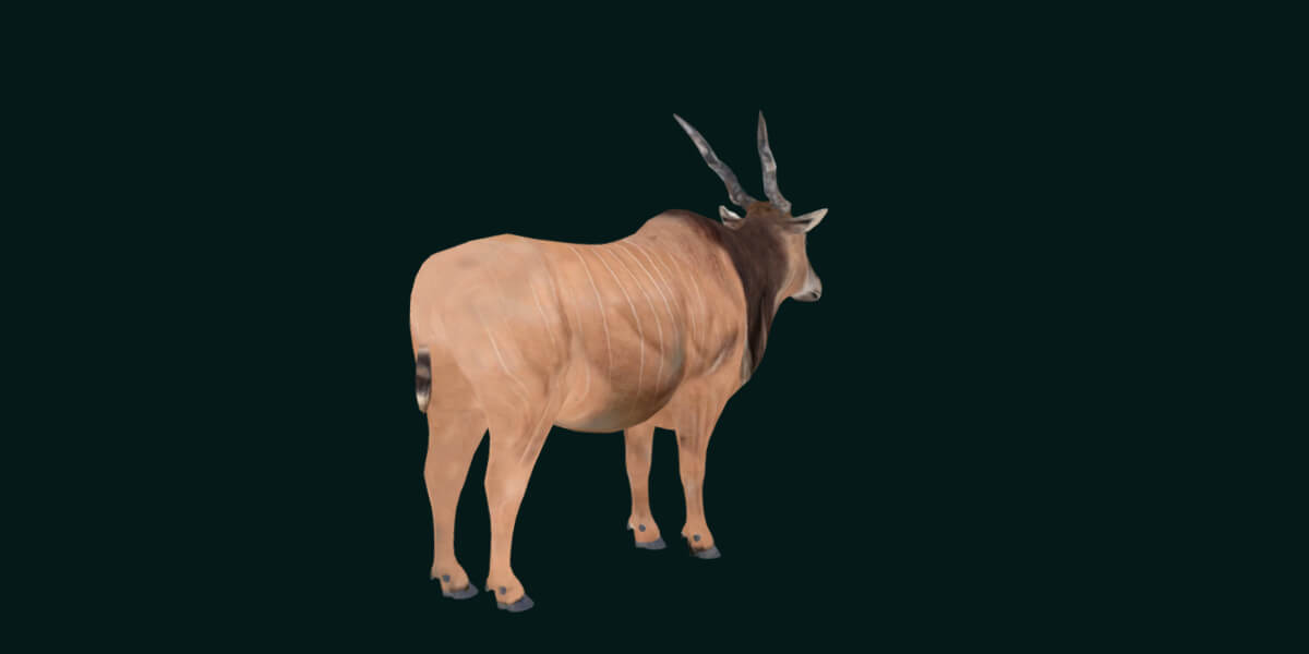 Jual Collecta Figure Giant Eland Antelope 88563 Terbaru | Ruparupa - View #9