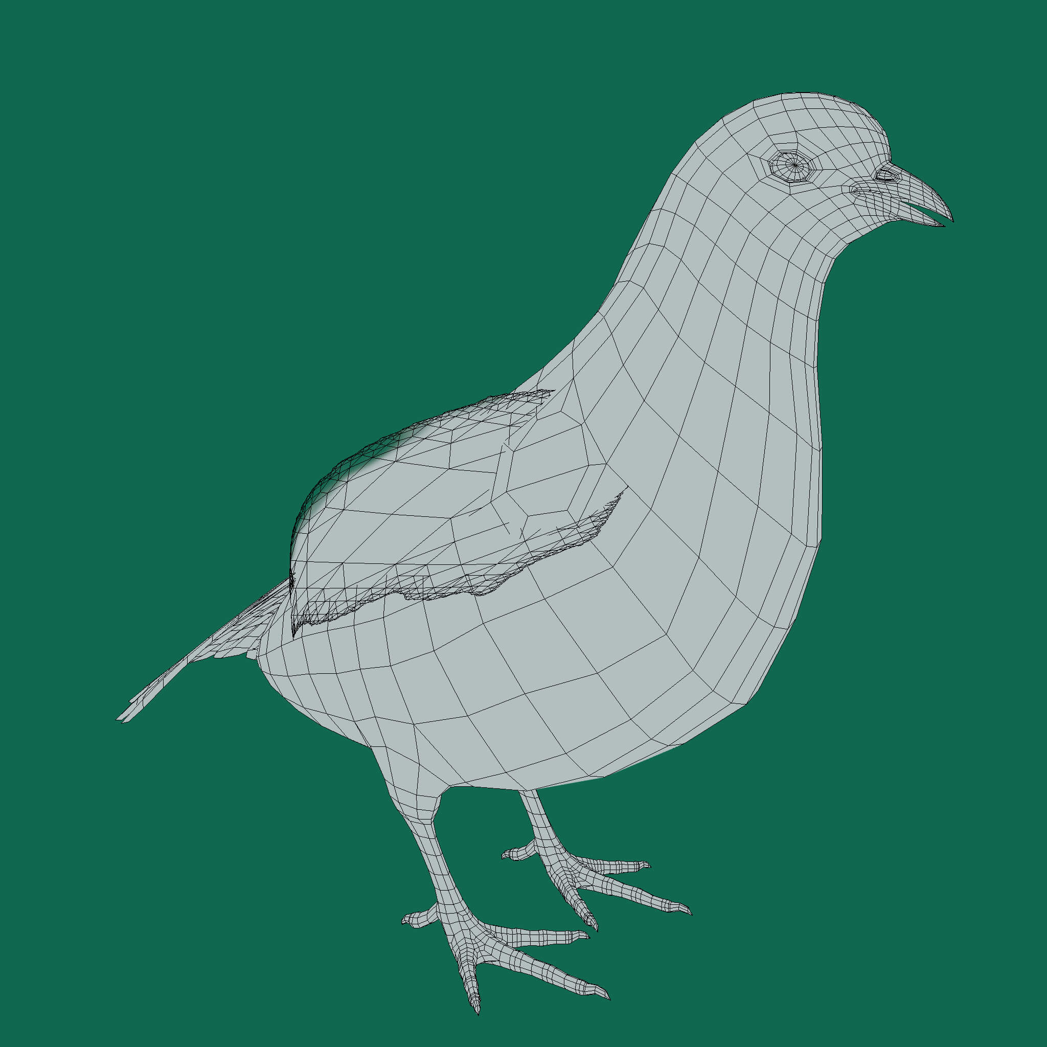 Masked Bobwhite Quail Bird - 3D Model by Nyilonelycompany