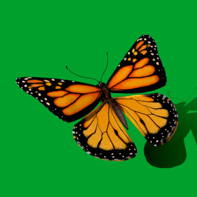 Collecta - 3388598 - Insects - Monarch Butterfly
