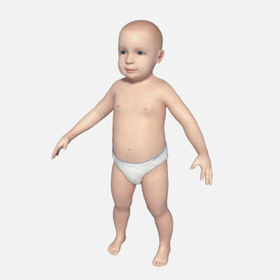 Baby - Rigged 3D Model by Ocstard