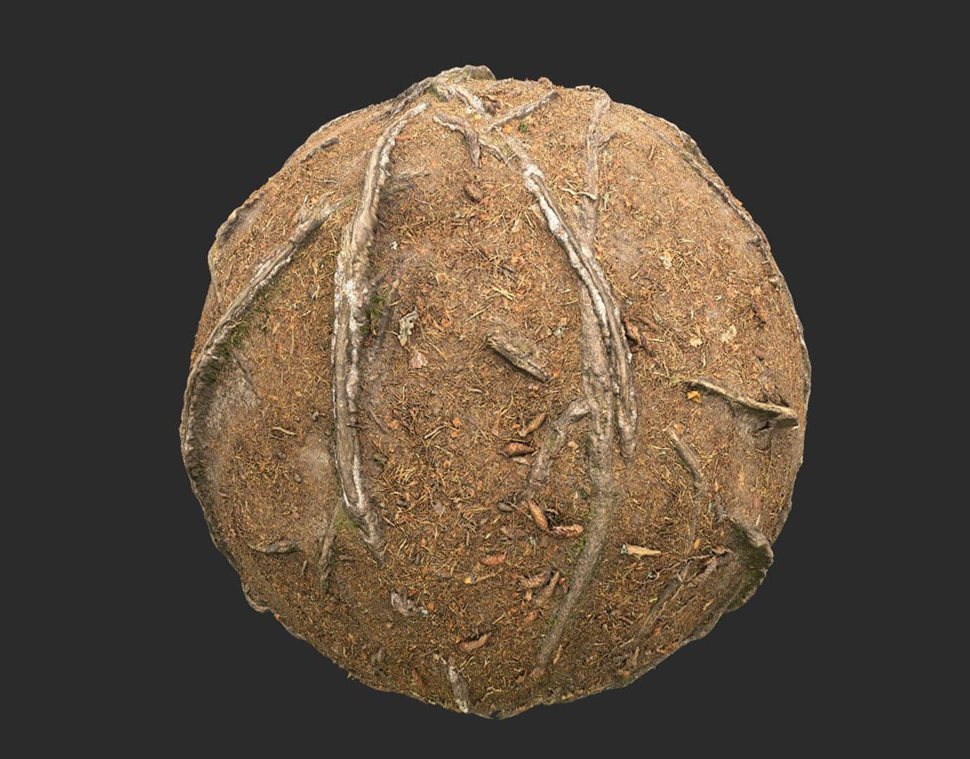 Dry Forest Roots - 3D Texture by omer kamal