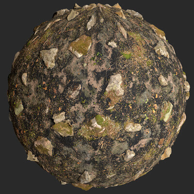Fire Damage Forest Ground Rocks PBR 4K Texture