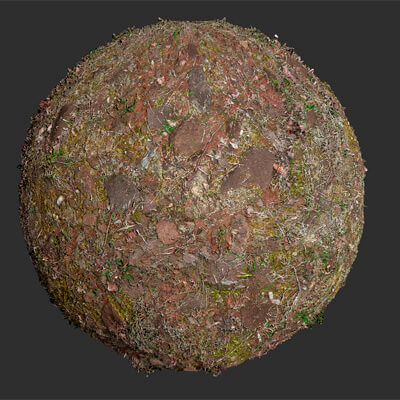 Forest Floor Dirt Rocks 4k Pbr Texture