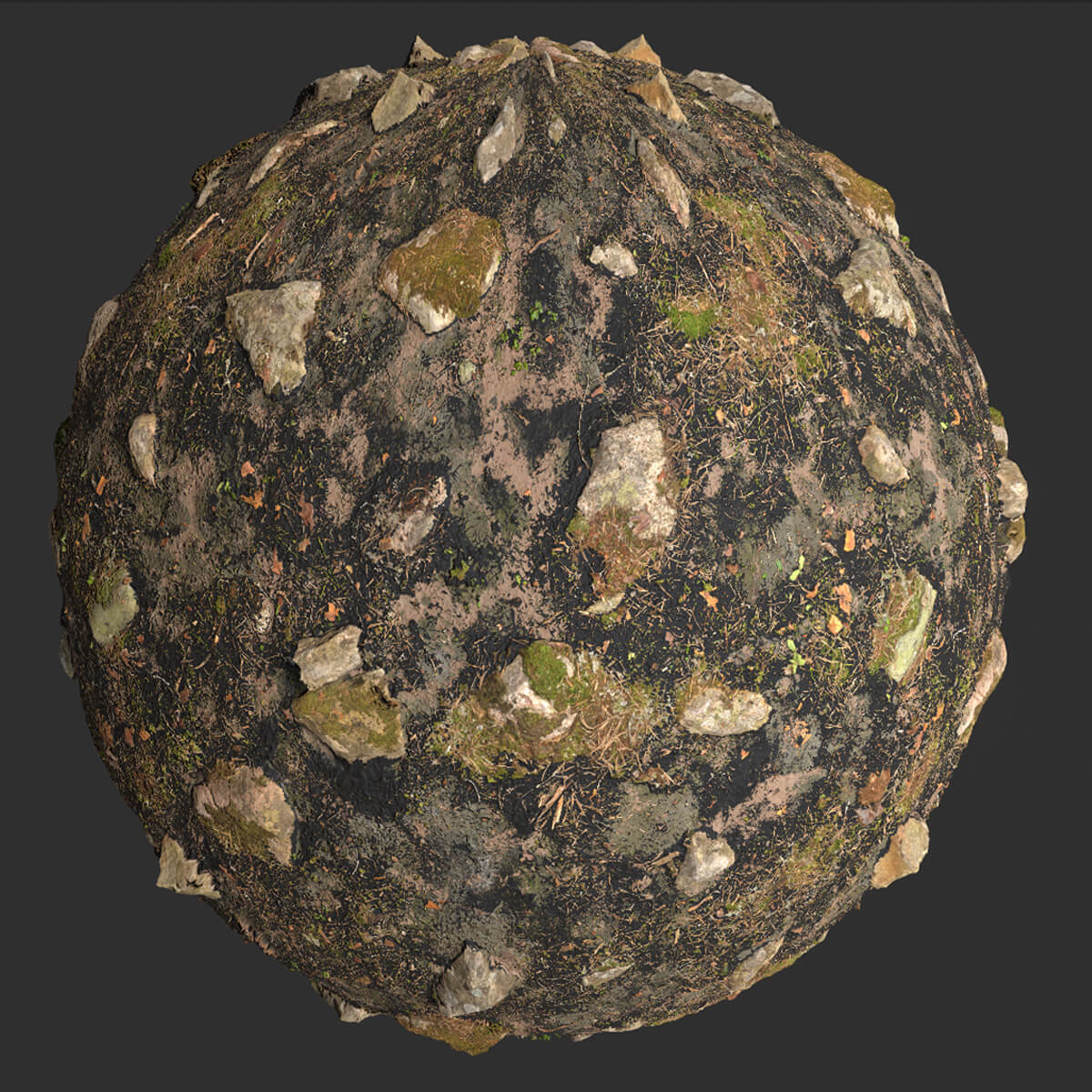 Fire Damage Forest Ground Rocks Pbr 4k Texture 3D Render