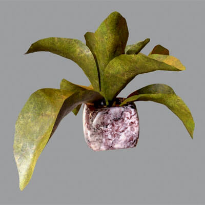 Plant Pot 3d Model