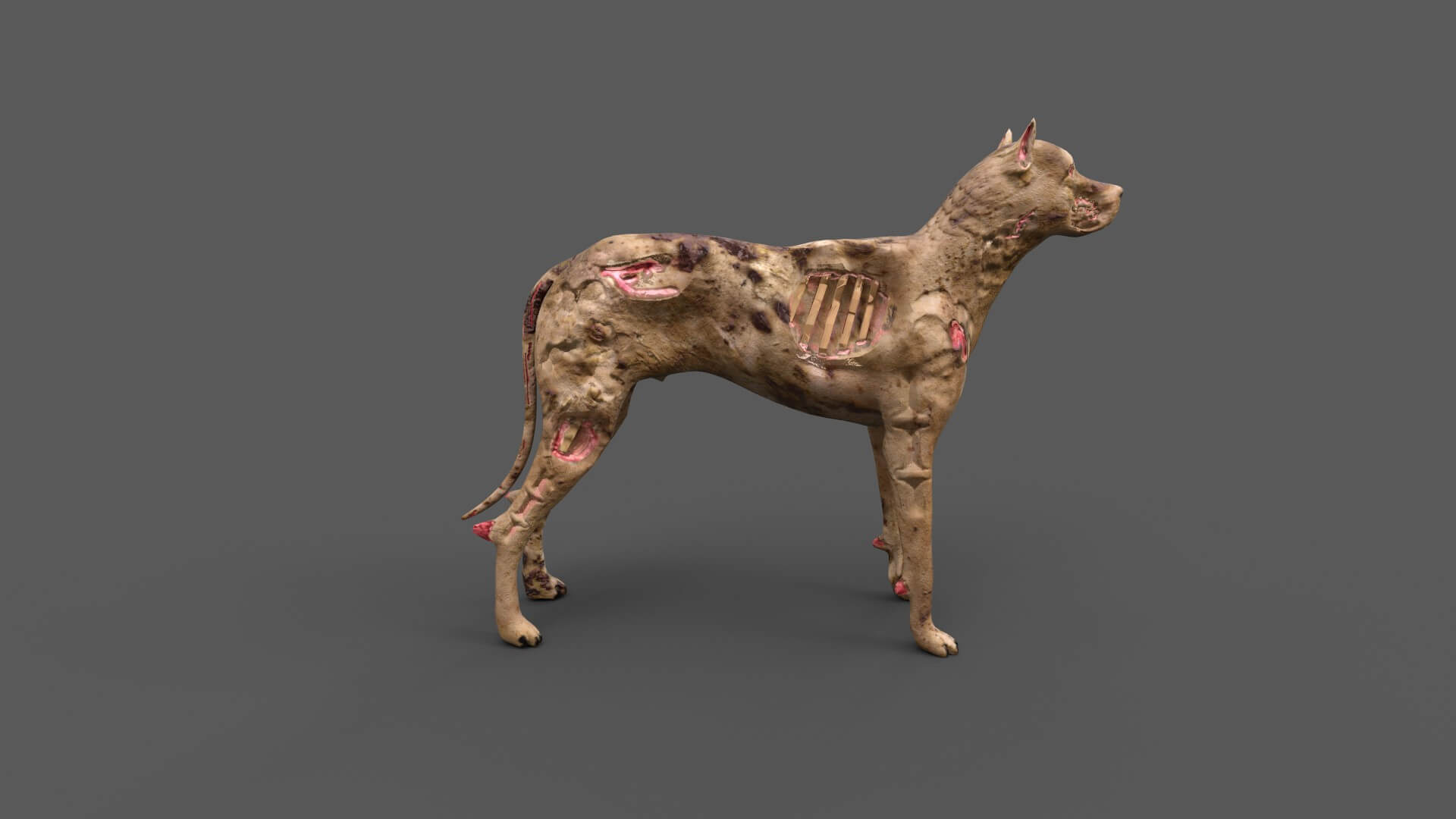 Zombie Dog 3D Model by omer kamal