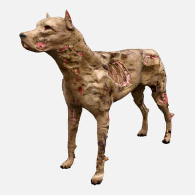 Zombie Dog Low Poly 3D Model