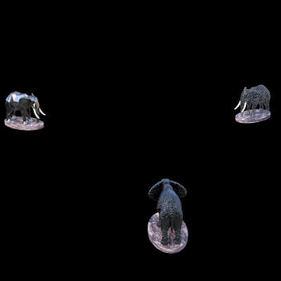 Timeless Elephants in a Digital Era