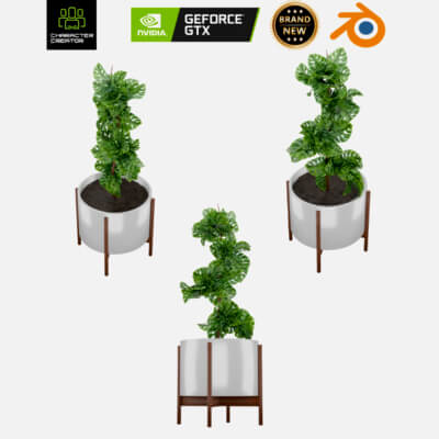 Indoor plant 3d model