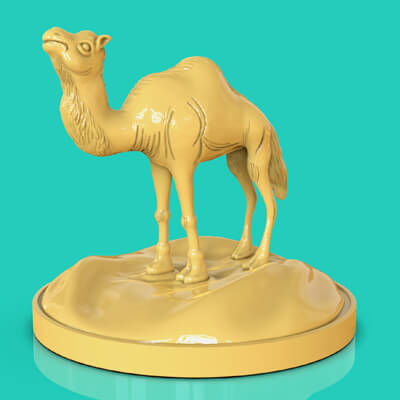 Camel Dromedary