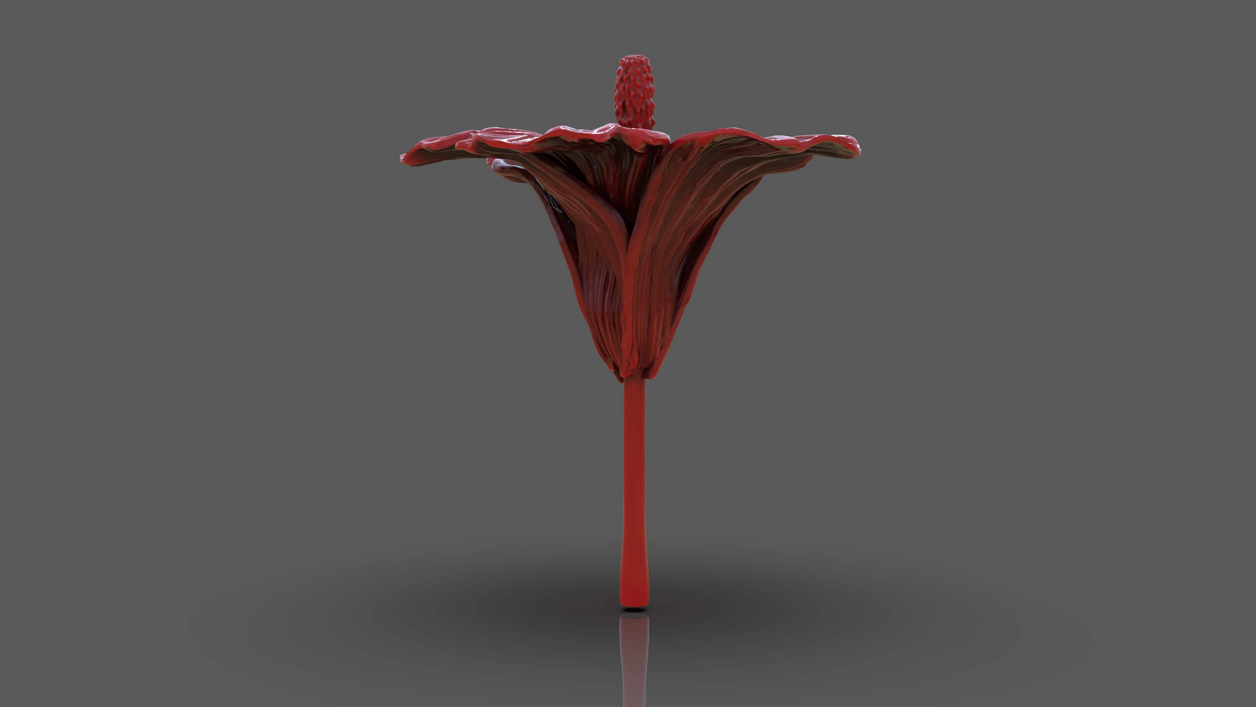 Hibiscus Flower Sculpt - 3D Model by PaburoVIII