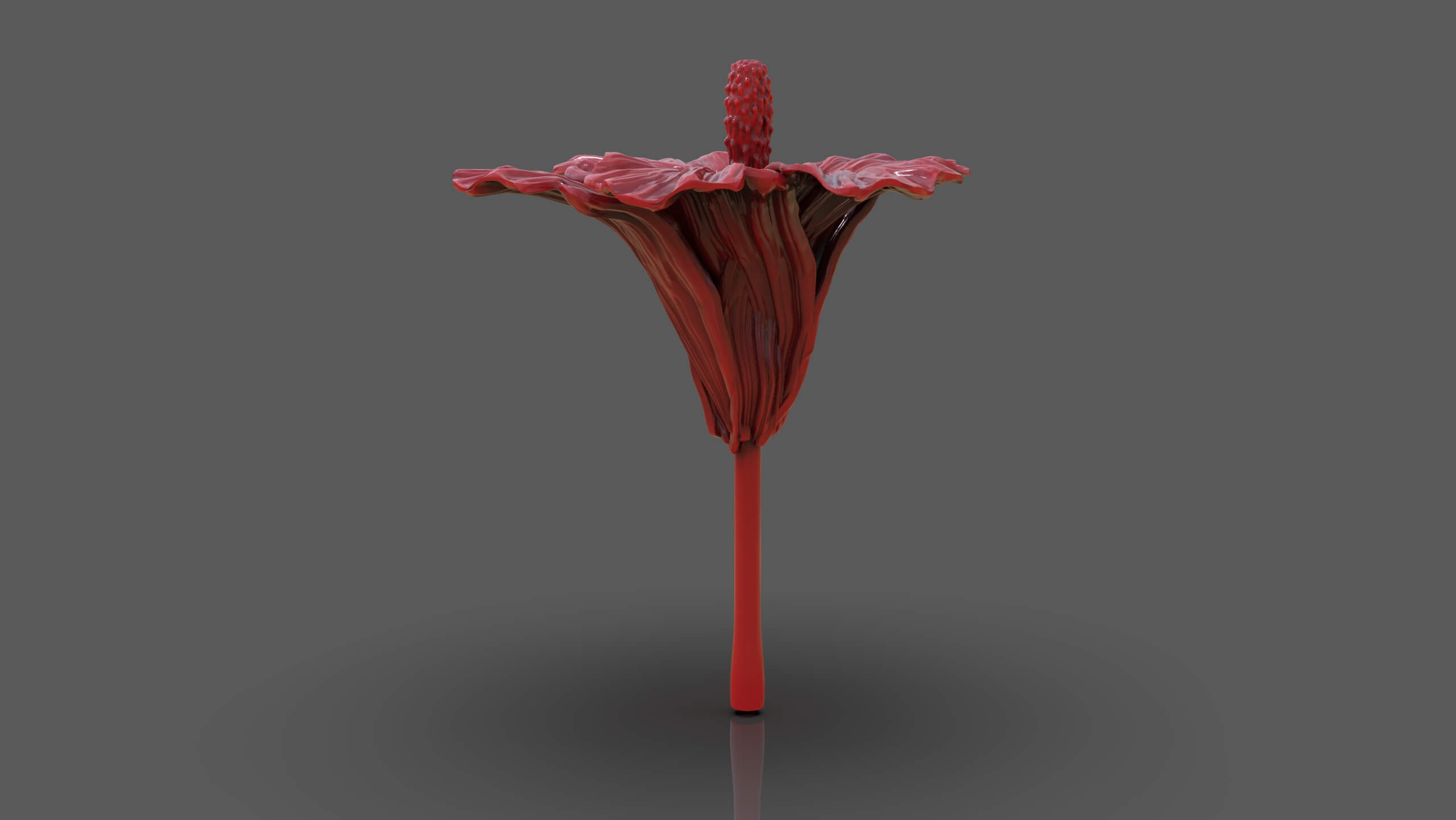 Hibiscus Flower Sculpt - 3D Model by PaburoVIII