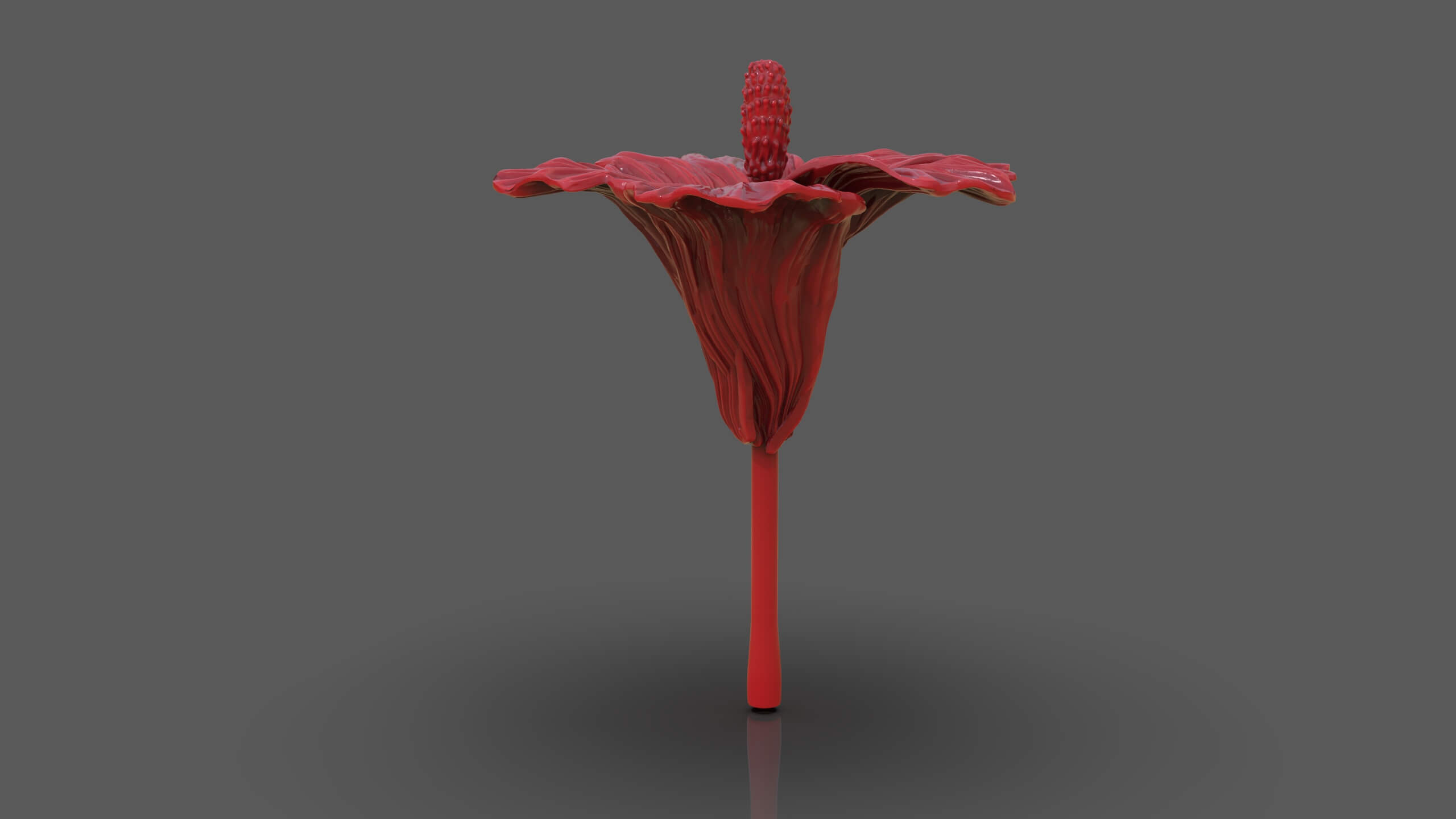 Hibiscus Flower Sculpt - 3D Model by PaburoVIII