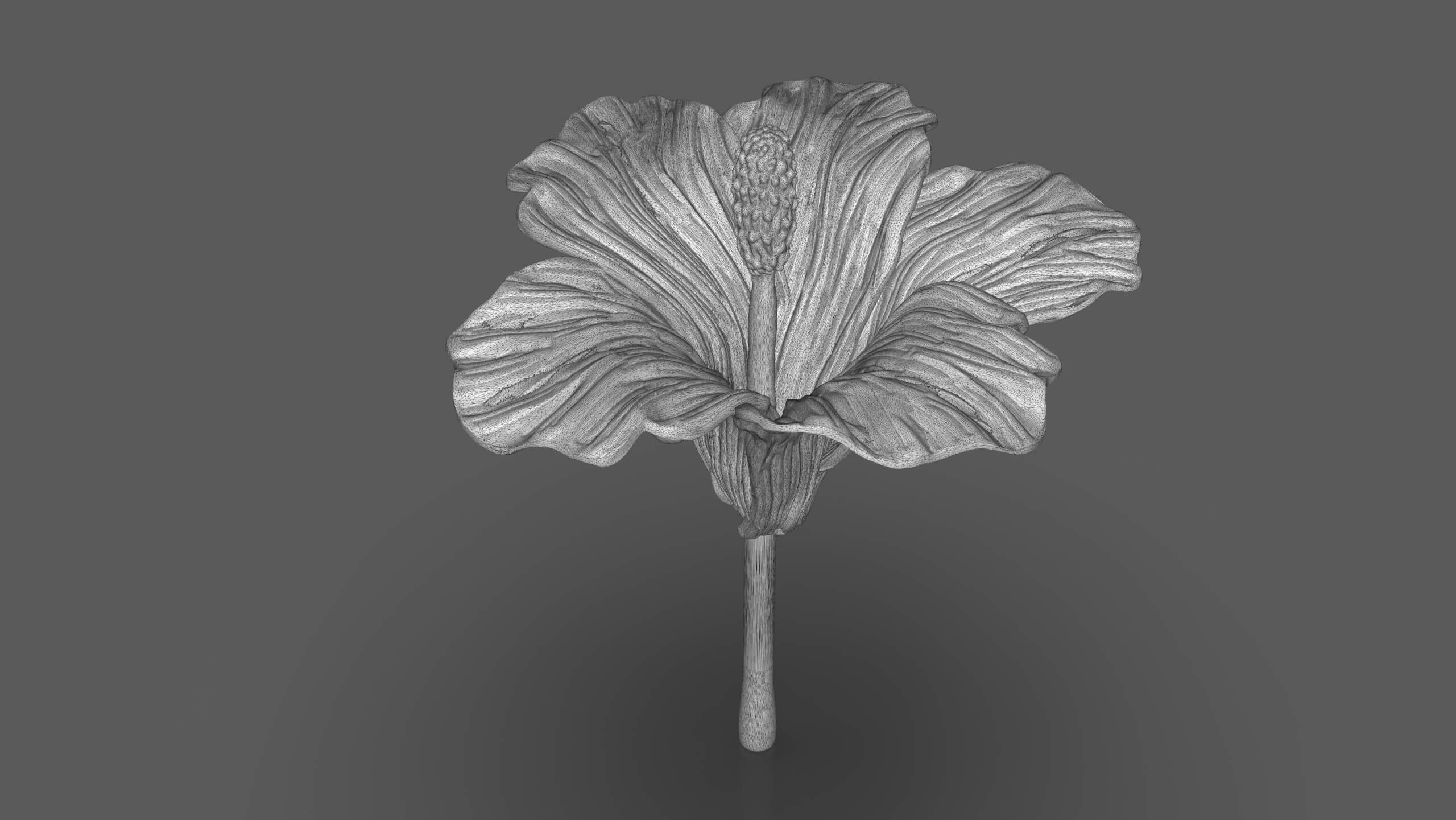 Hibiscus Flower Sculpt - 3D Model by PaburoVIII