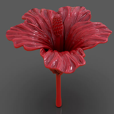 Hibiscus Flower Sculpt