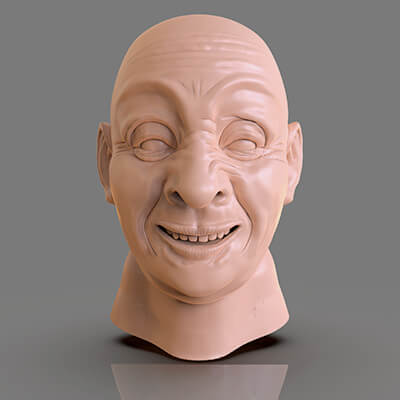 Pirate Head Mechatronic