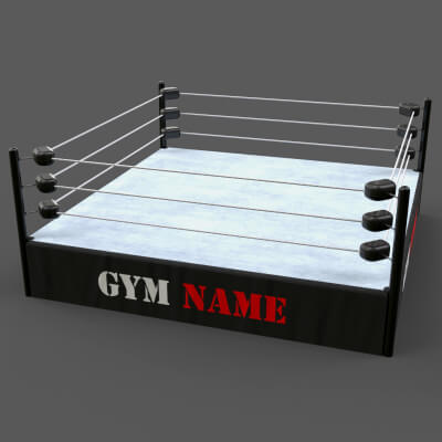 Modular Professional Wrestling Rings 18ftx18ft