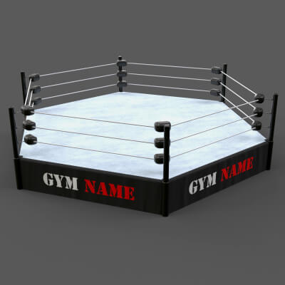 Modular TNA Six sided Hexagon Wrestling Rings