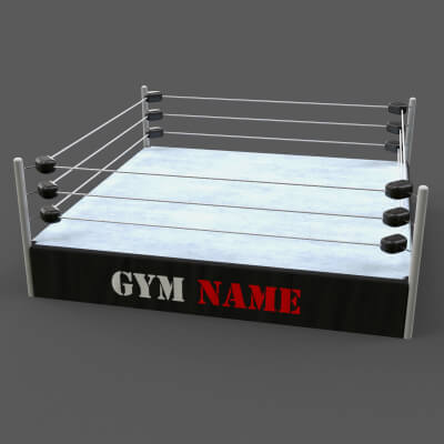 Modular Professional Wrestling Rings 20ftx20ft