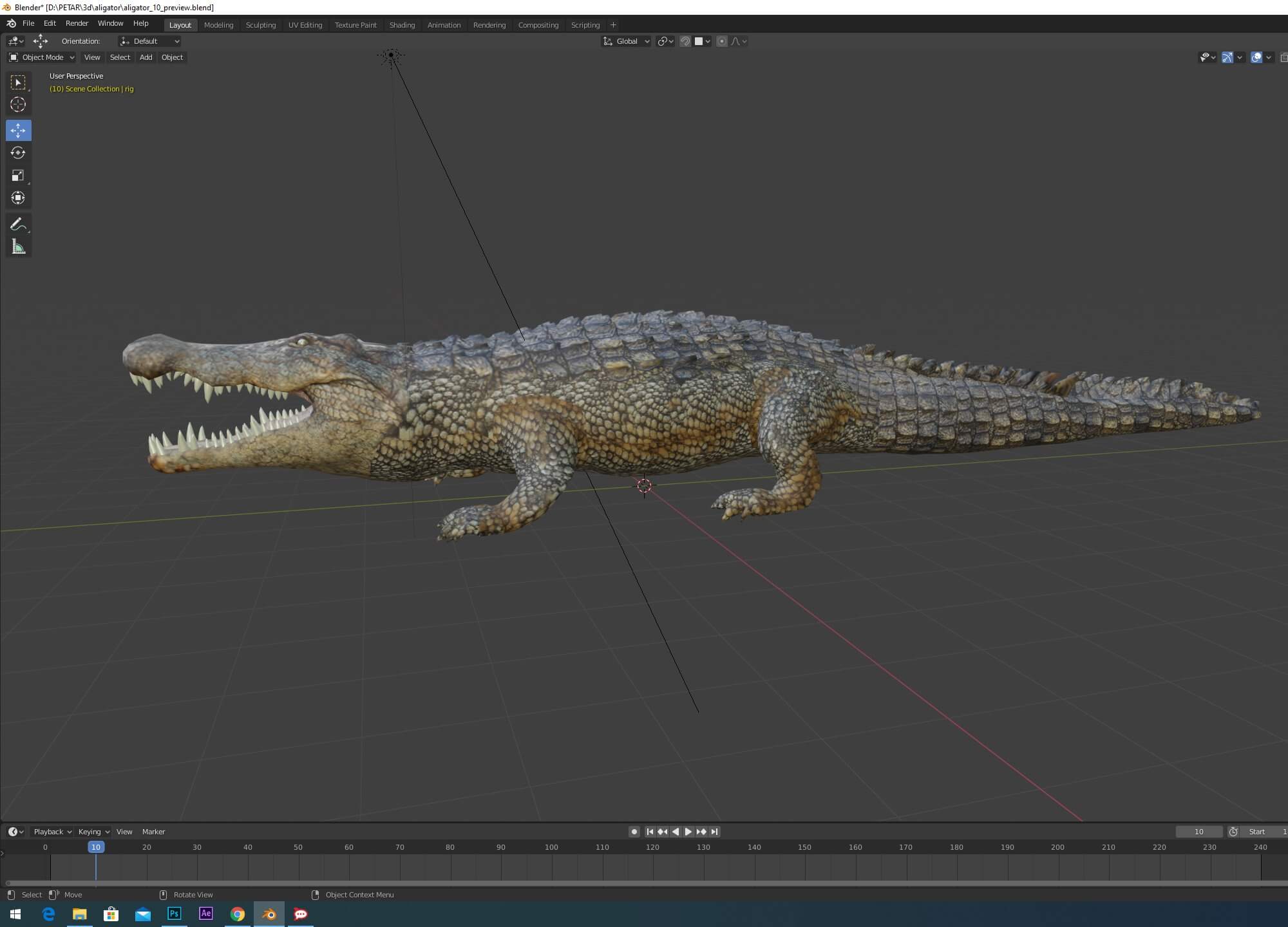 Alligator Real Measure 3D Model by Petar Doychev