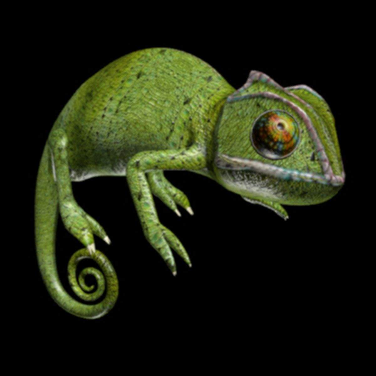 хамелеон персонаж 8. хамелеон референс. Chameleon fun 3d. хамелеон мультяшный. хамелеон стикер.