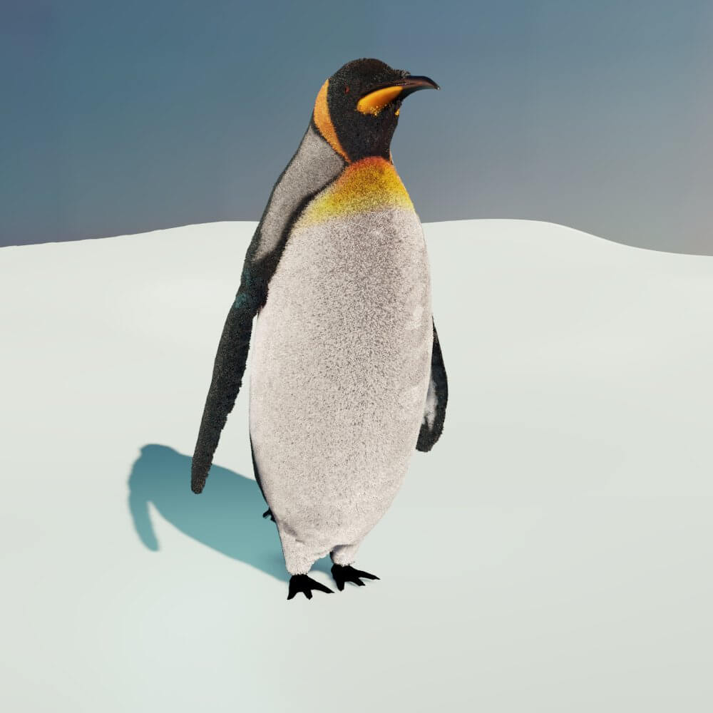 Emperor Penguin - 3D Model by Petar Doychev