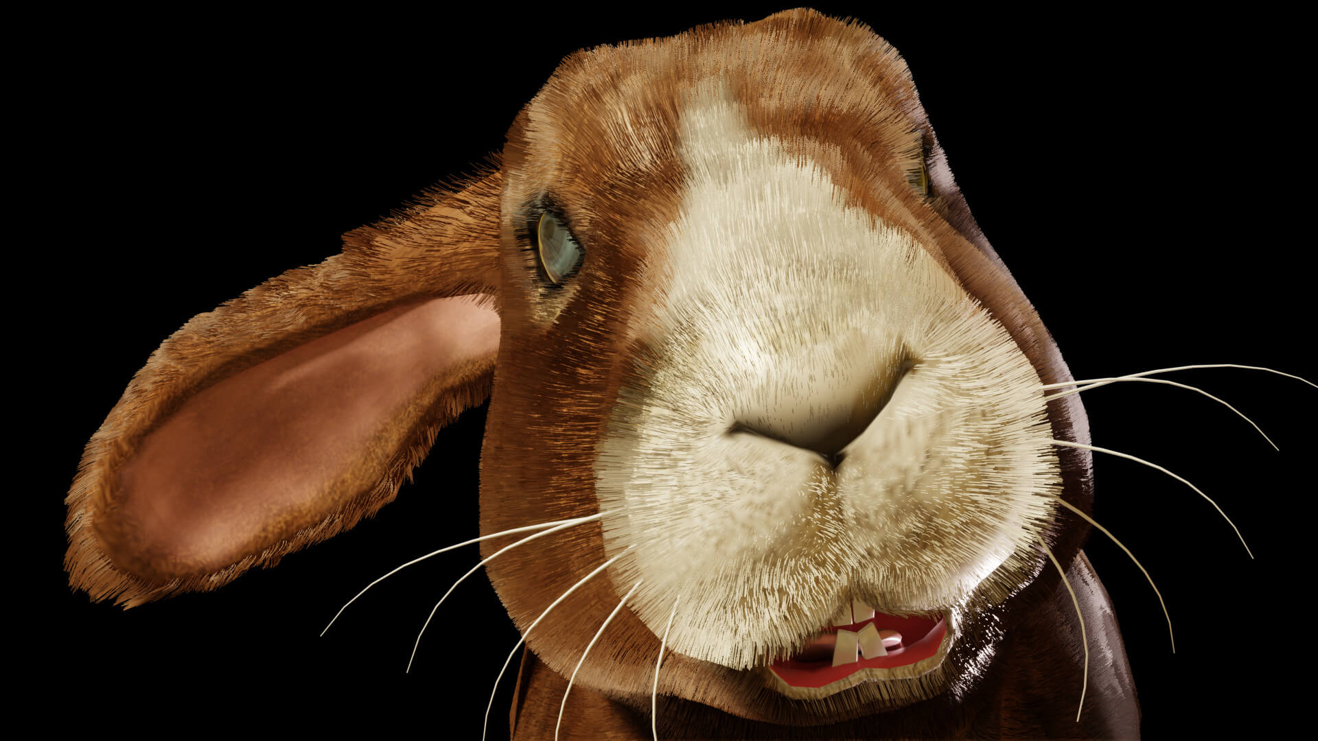 Rabbit - 3D Model by Petar Doychev