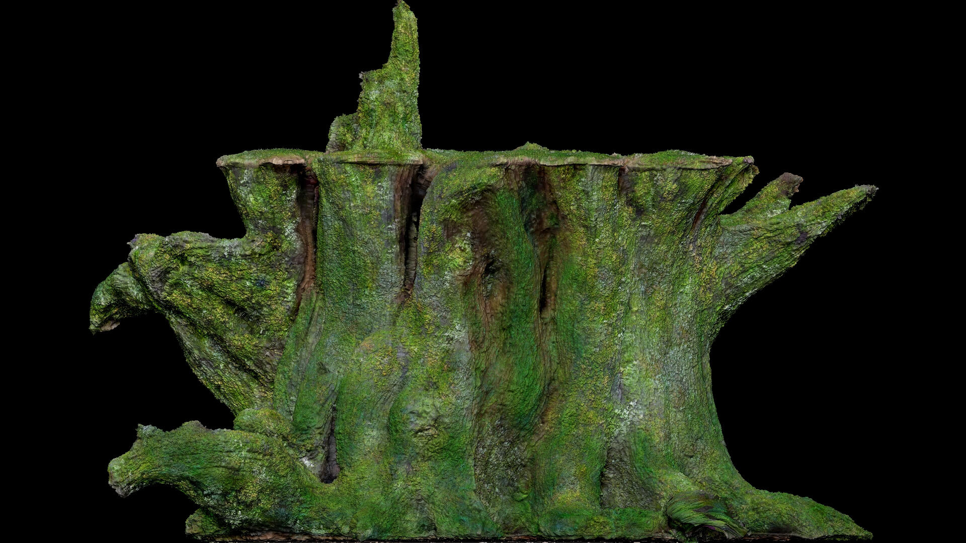 Dead Moss Tree Stump V1 - 3D Model by Phile Rain