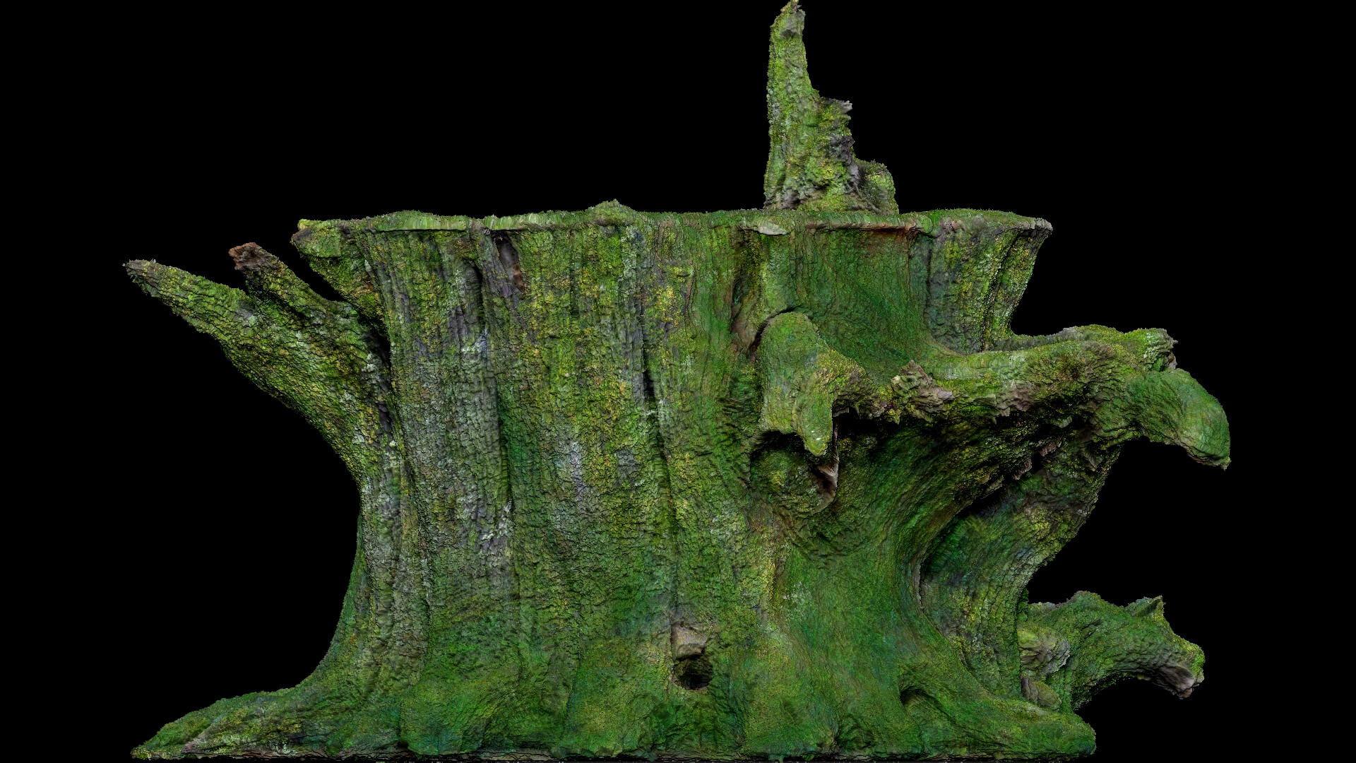 Dead Moss Tree Stump V1 - 3D Model by Phile Rain