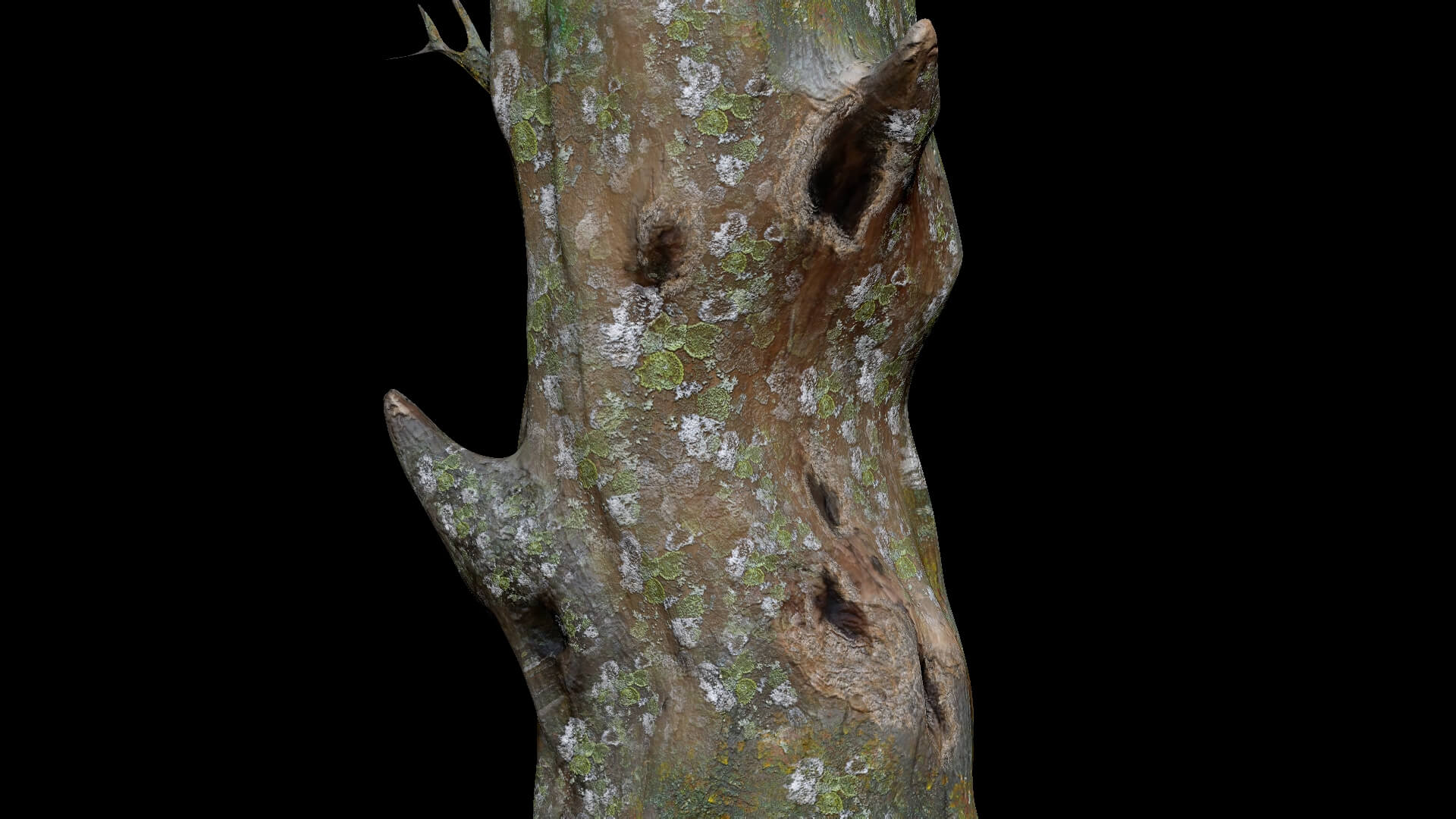 Dead Moss Tree Stump V2 - 3D Model by Phile Rain